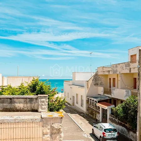 Ammare